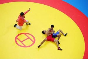  राष्ट्रीय कुश्ती चैम्पियनशिप जनवरी तक के लिये स्थगित
