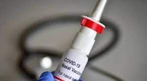 भारत के पहले नेसल कोविड टीके की शुरुआत 26 जनवरी को होगी