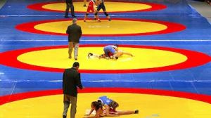 डब्ल्यूएफआई ने राष्ट्रीय शिविर में भागीदारी अनिवार्य की, व्यक्तिगत अभ्यास कर रहे पहलवानों को छूट