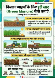 मिट्टी की सांस लौटाएगी हरी खाद